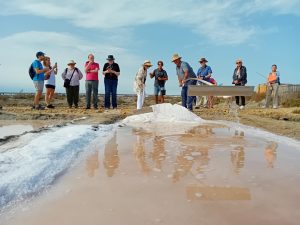 Hemos iniciado el mes de septiembre recibiendo a un grupo cruceristas ingleses interesados en conocer las salinas y aves que viven ahí.